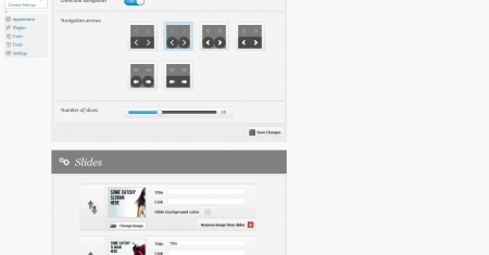 Nivo slider settings